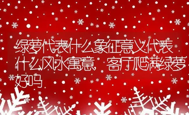 绿萝代表什么象征意义代表什么风水寓意,客厅爬满绿萝好吗 | 养殖常见问题