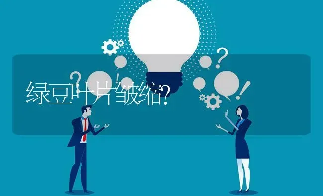 绿豆叶片皱缩? | 养殖问题解答