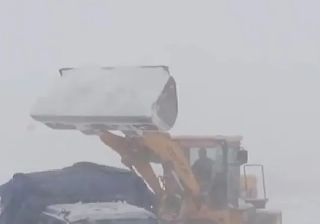 植物常识问题|内蒙古通辽降雪46小时积雪深度破纪录 火车“破雪”前行
