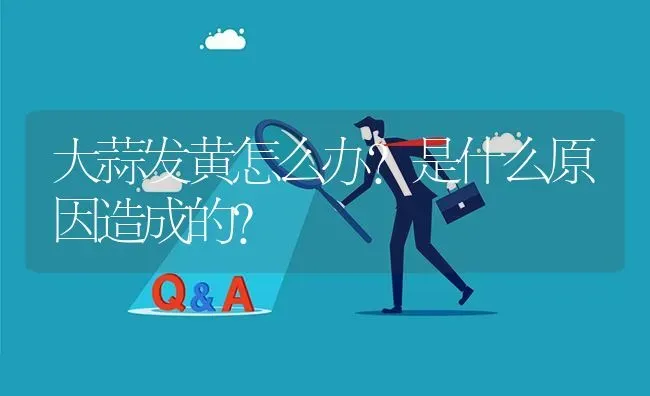 大蒜发黄怎么办?是什么原因造成的? | 养殖问题解答