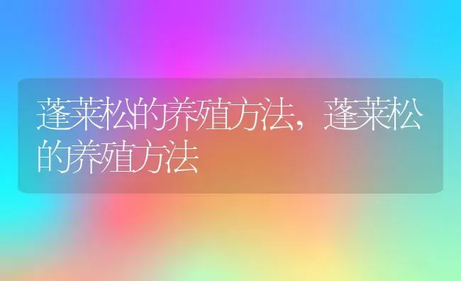 蓬莱松的养殖方法,蓬莱松的养殖方法 | 养殖常见问题