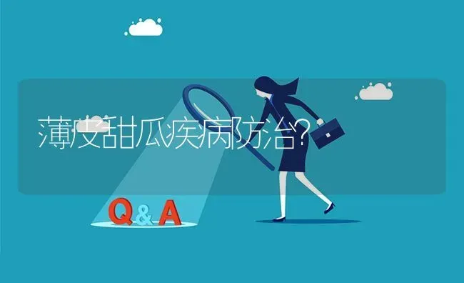 薄皮甜瓜疾病防治? | 养殖问题解答