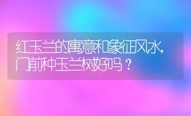 红玉兰的寓意和象征风水,门前种玉兰树好吗？ | 养殖常见问题