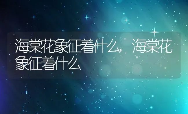 海棠花象征着什么,海棠花象征着什么 | 养殖常见问题