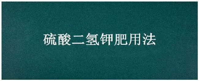硫酸二氢钾肥用法 | 三农问答
