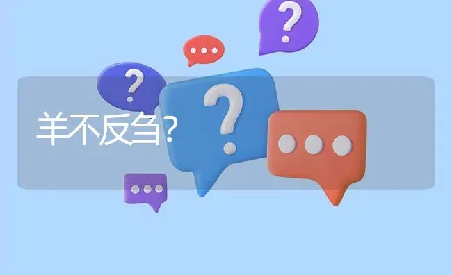 羊不反刍? | 养殖问题解答