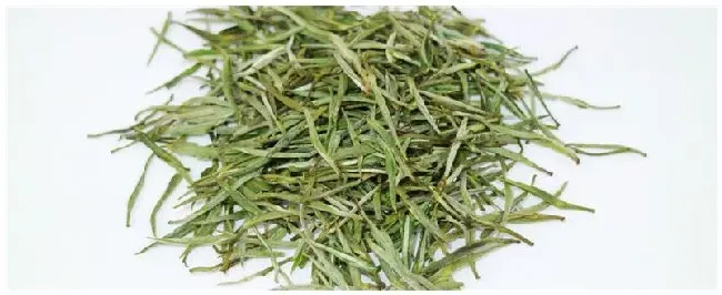 遵义产什么茶 | 农业常识