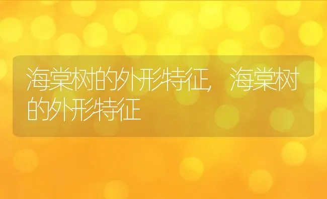 海棠树的外形特征,海棠树的外形特征 | 养殖常见问题