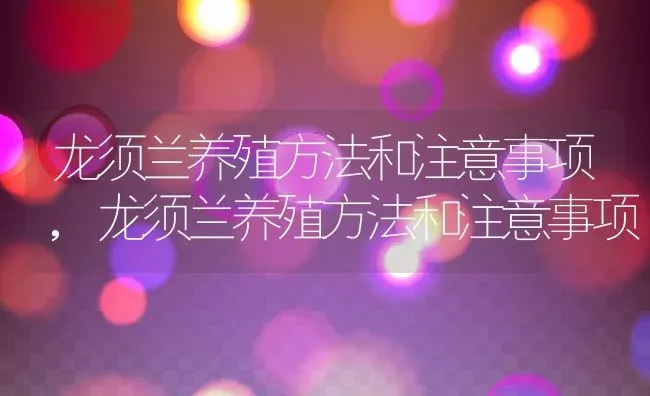 龙须兰养殖方法和注意事项,龙须兰养殖方法和注意事项 | 养殖常见问题