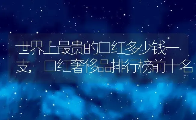 世界上最贵的口红多少钱一支,口红奢侈品排行榜前十名 | 养殖常见问题
