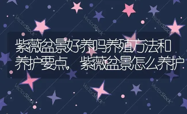 紫薇盆景好养吗养殖方法和养护要点,紫薇盆景怎么养护 | 养殖常见问题