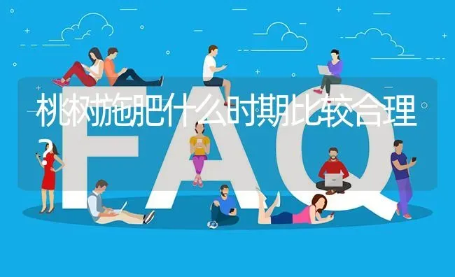 桃树施肥什么时期比较合理? | 养殖问题解答