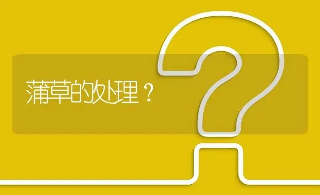 蒲草的处理? | 养殖问题解答