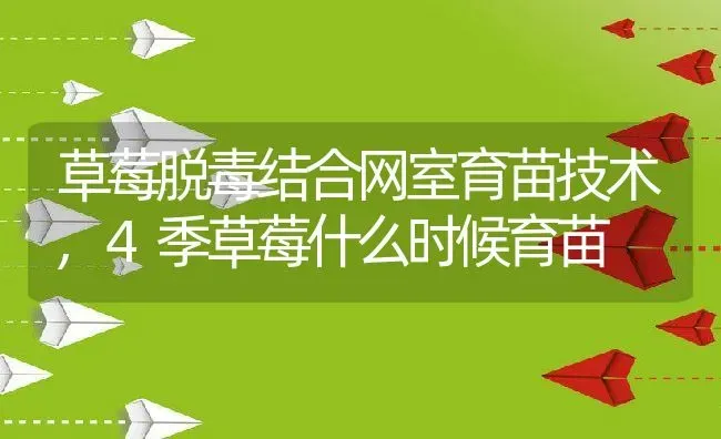 草莓脱毒结合网室育苗技术,4季草莓什么时候育苗 | 养殖常见问题