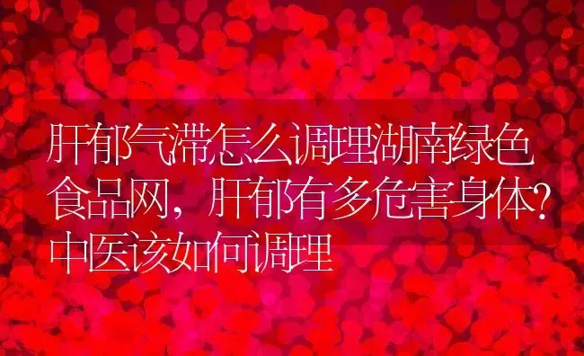 肝郁气滞怎么调理湖南绿色食品网,肝郁有多危害身体？中医该如何调理 | 养殖常见问题