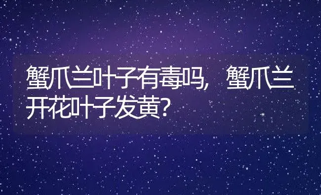 蟹爪兰叶子有毒吗,蟹爪兰开花叶子发黄？ | 养殖常见问题