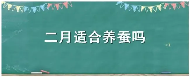 二月适合养蚕吗 | 农业答疑