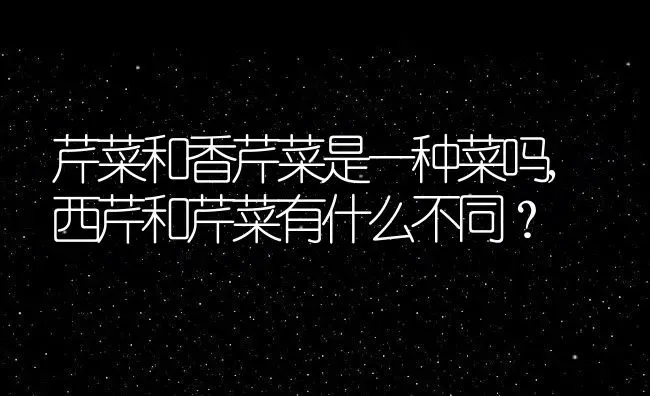 表示爱的花花语是爱的花,有哪些花的花语是甜蜜的爱情这类的？ | 养殖常见问题