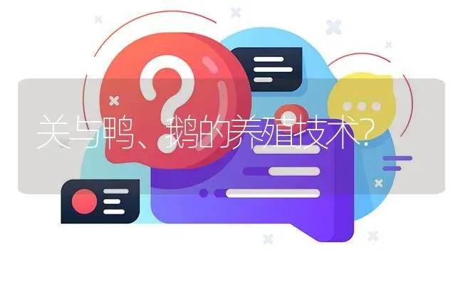 关与鸭、鹅的养殖技术? | 养殖问题解答