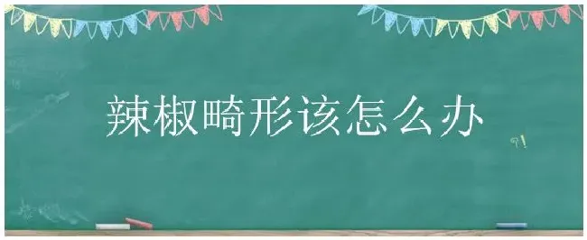 辣椒畸形该怎么办 | 三农答疑