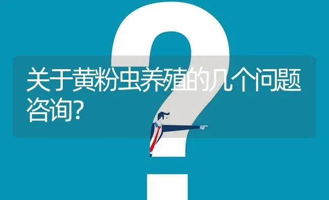 关于黄粉虫养殖的几个问题咨询? | 养殖问题解答