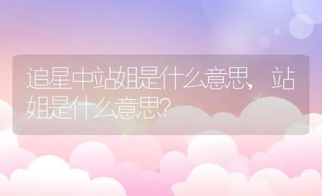 追星中站姐是什么意思,站姐是什么意思？ | 养殖常见问题