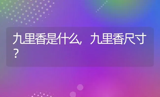 九里香是什么,九里香尺寸？ | 养殖常见问题