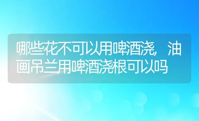 哪些花不可以用啤酒浇,油画吊兰用啤酒浇根可以吗 | 养殖常见问题