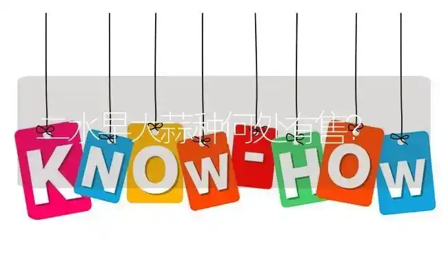 二水早大蒜种何处有售? | 养殖问题解答