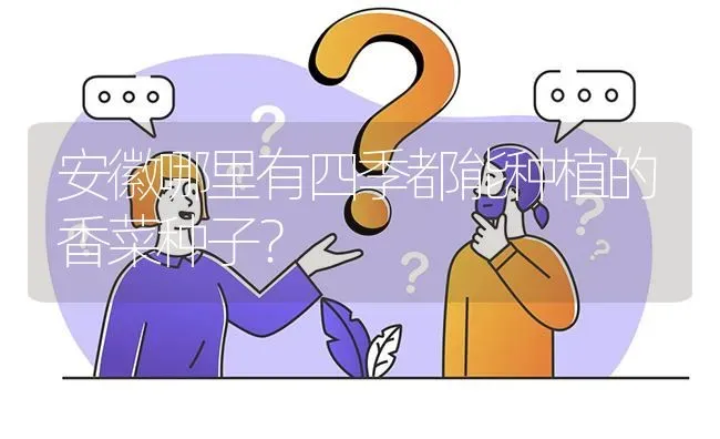 安徽哪里有四季都能种植的香菜种子? | 养殖问题解答