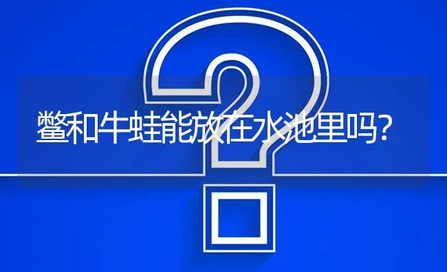 鳖和牛蛙能放在水池里吗? | 养殖问题解答