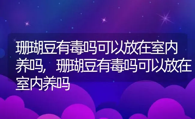 珊瑚豆有毒吗可以放在室内养吗,珊瑚豆有毒吗可以放在室内养吗 | 养殖常见问题