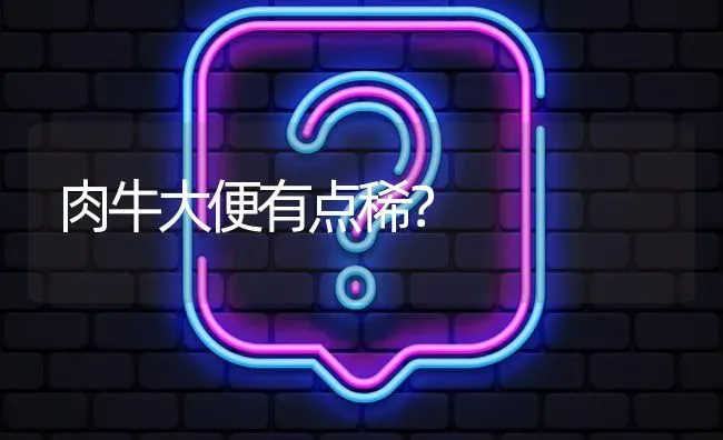 肉牛大便有点稀? | 养殖问题解答