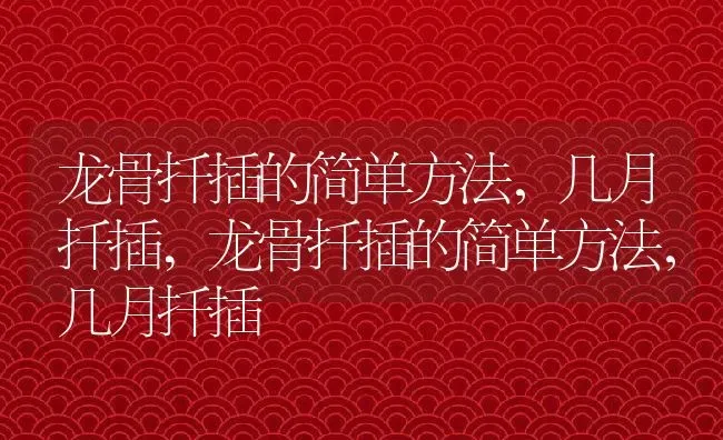 龙骨扦插的简单方法，几月扦插,龙骨扦插的简单方法，几月扦插 | 养殖常见问题
