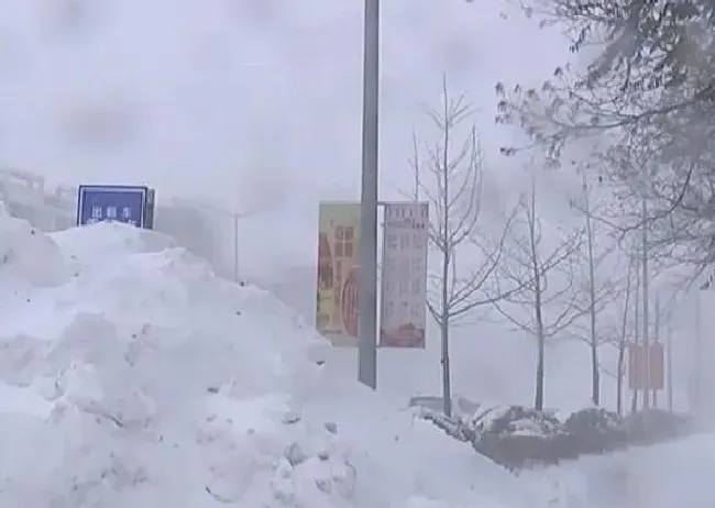 植物常识问题|内蒙古通辽降雪46小时积雪深度破纪录 火车“破雪”前行