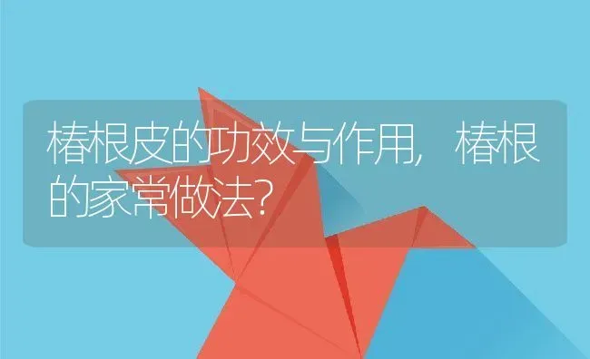 椿根皮的功效与作用,椿根的家常做法？ | 养殖常见问题