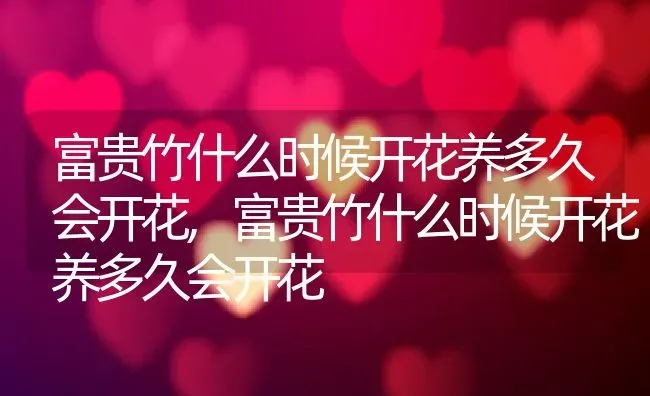 富贵竹什么时候开花养多久会开花,富贵竹什么时候开花养多久会开花 | 养殖常见问题