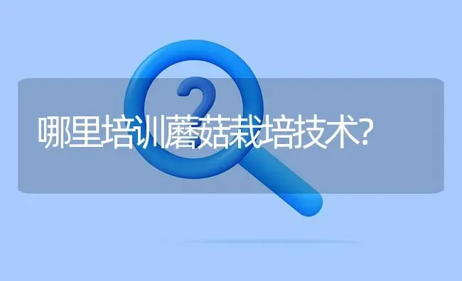 哪里培训蘑菇栽培技术? | 养殖问题解答