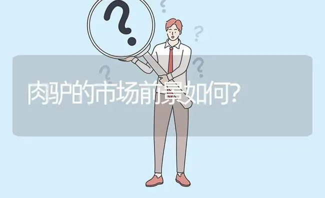 肉驴的市场前景如何? | 养殖问题解答