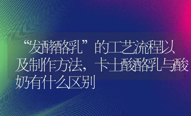 “发酵酪乳”的工艺流程以及制作方法,卡士酸酪乳与酸奶有什么区别 | 养殖常见问题