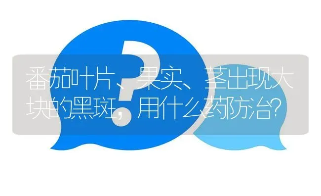 番茄叶片、果实、茎出现大块的黑斑,用什么药防治? | 养殖问题解答