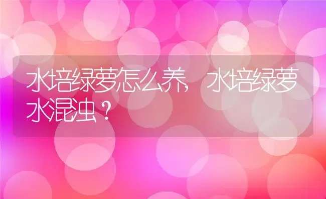 水培绿萝怎么养,水培绿萝水混浊？ | 养殖常见问题