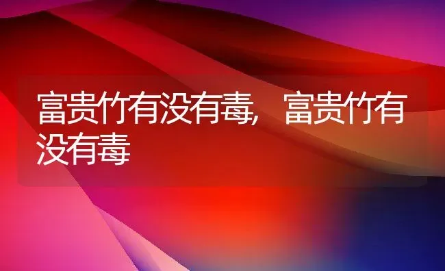 富贵竹有没有毒,富贵竹有没有毒 | 养殖常见问题