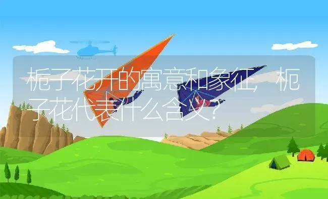 栀子花开的寓意和象征,枙子花代表什么含义？ | 养殖常见问题