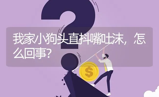 我家小狗头直抖嘴吐沫,怎么回事? | 养殖问题解答