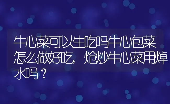 牛心菜可以生吃吗牛心包菜怎么做好吃,炝炒牛心菜用焯水吗？ | 养殖常见问题