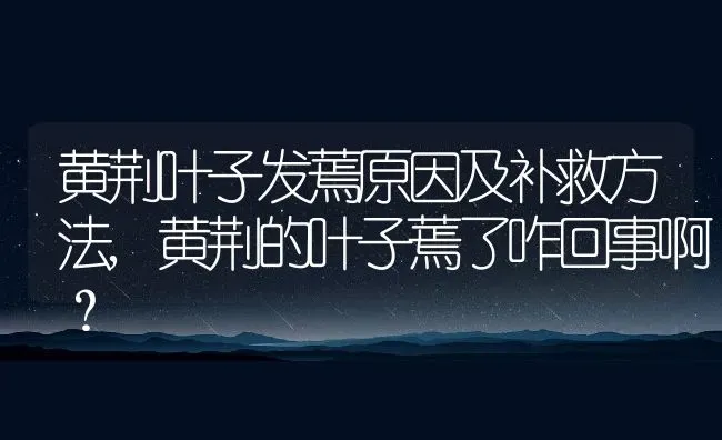 黄荆叶子发蔫原因及补救方法,黄荆的叶子蔫了咋回事啊？ | 养殖常见问题