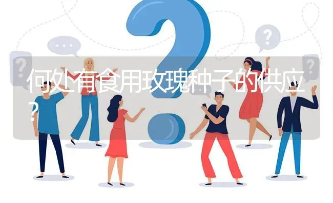 何处有食用玫瑰种子的供应? | 养殖问题解答