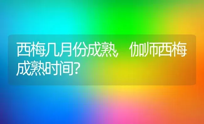 西梅几月份成熟,伽师西梅成熟时间？ | 养殖常见问题