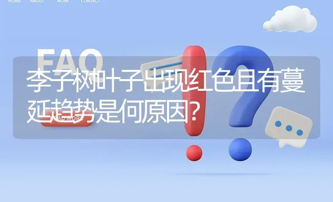 李子树叶子出现红色且有蔓延趋势是何原因? | 养殖问题解答